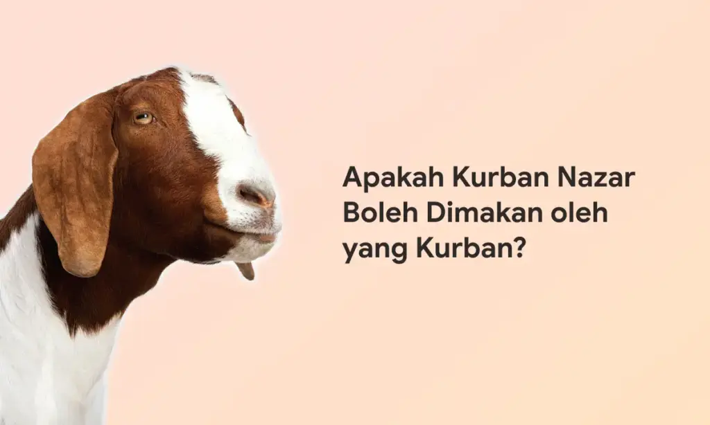 Apakah Kurban Nazar Boleh Dimakan oleh yang Kurban